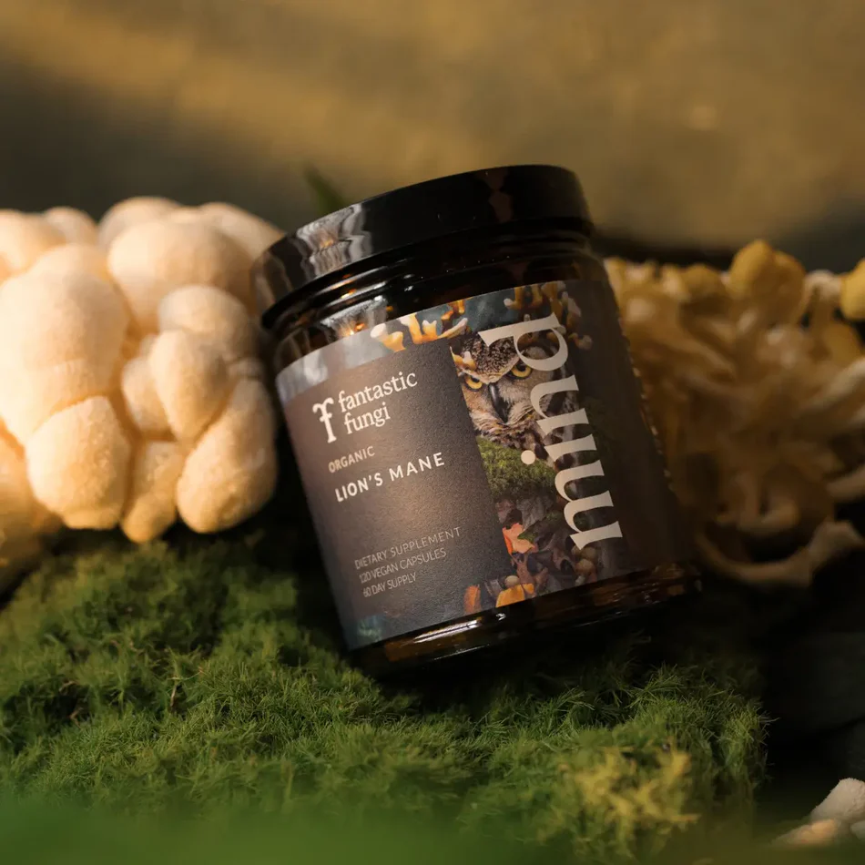 Elevate Your Ritual With Fungi
